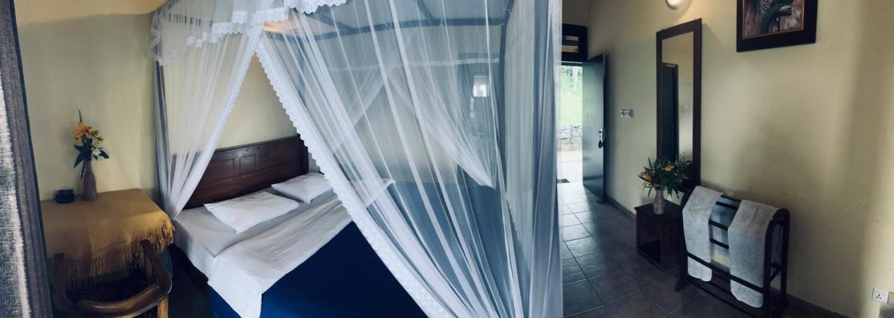 Ambiente Guest House Элла Экстерьер фото