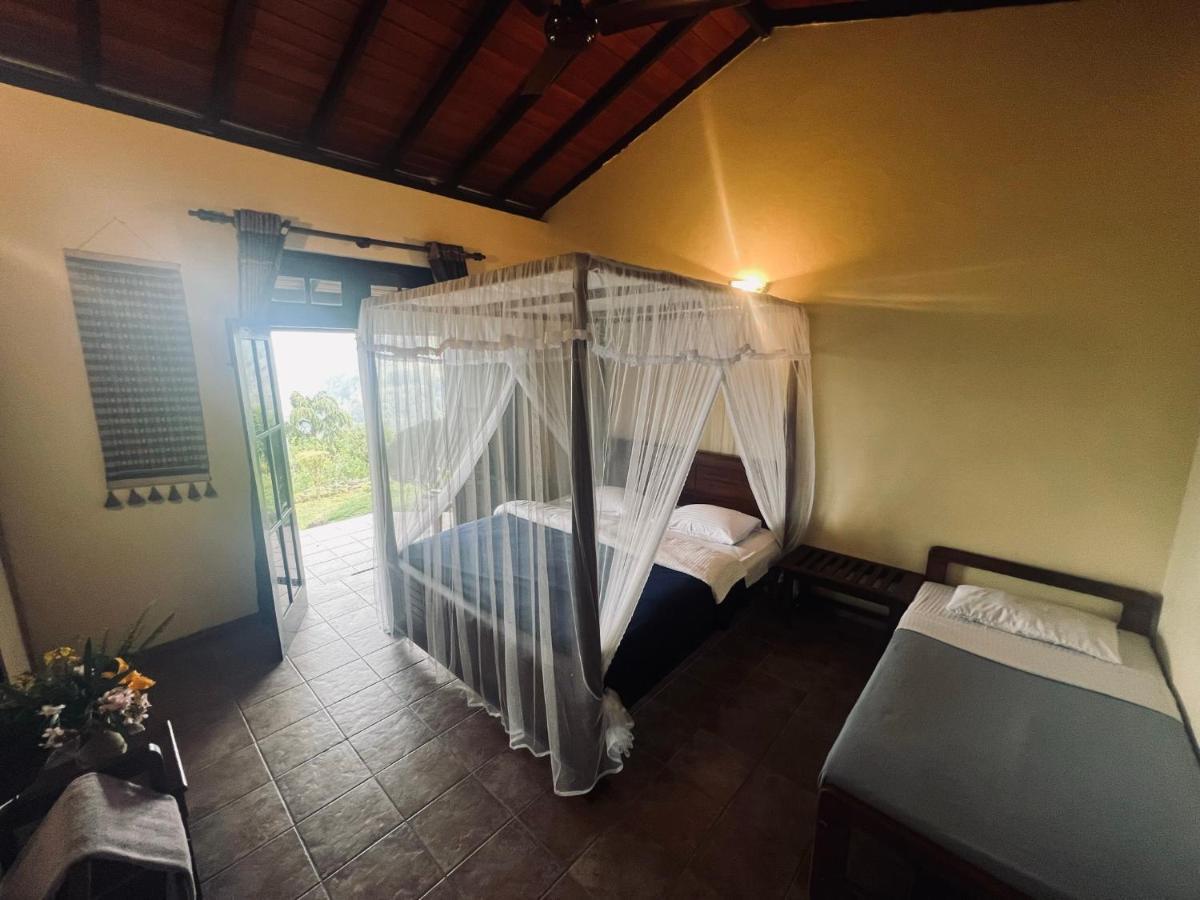 Ambiente Guest House Элла Экстерьер фото